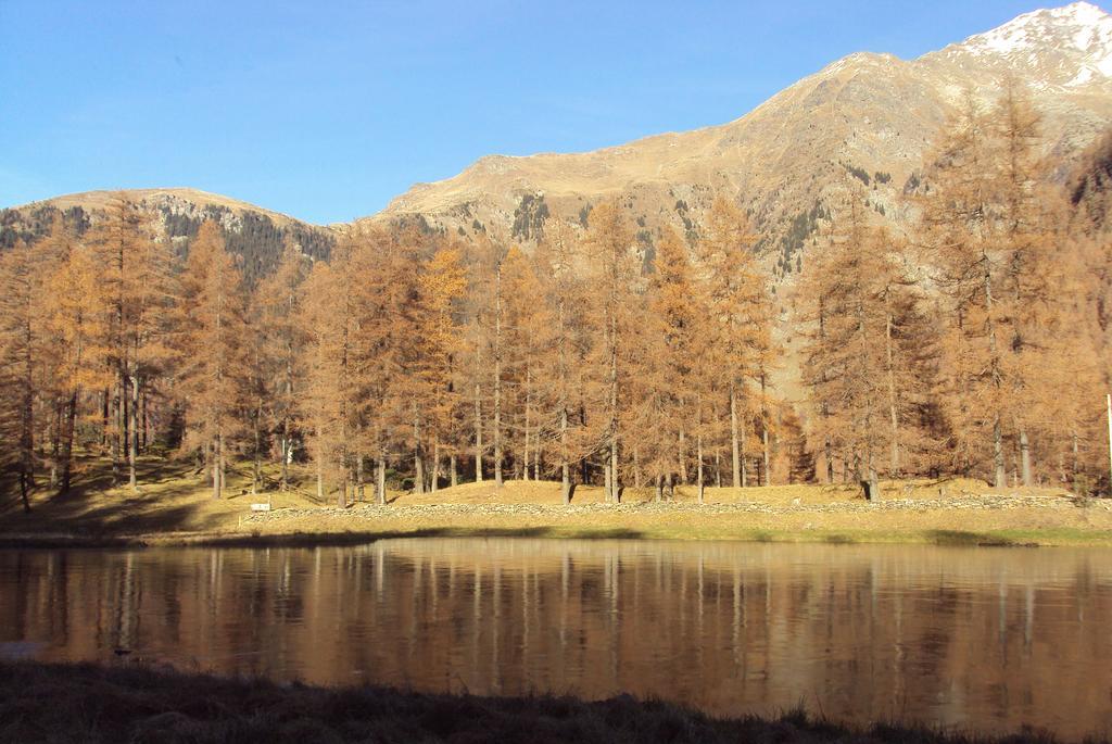 Residence Larice Bianco Campodolcino Dış mekan fotoğraf